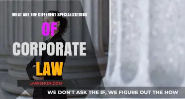 Explore the Diverse Specializations in Corporate Law