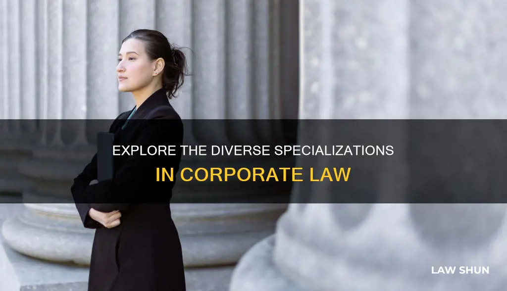 what are the different specializations of corporate law