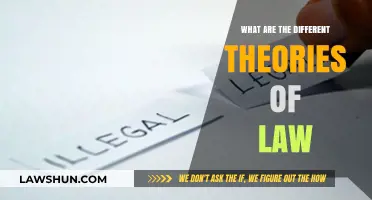 Exploring Jurisprudence: Theories of Law Explained