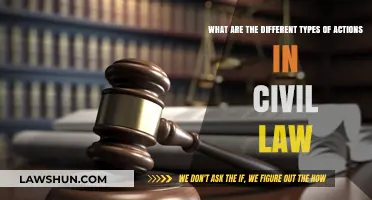 Civil Law Actions: Understanding the Different Types