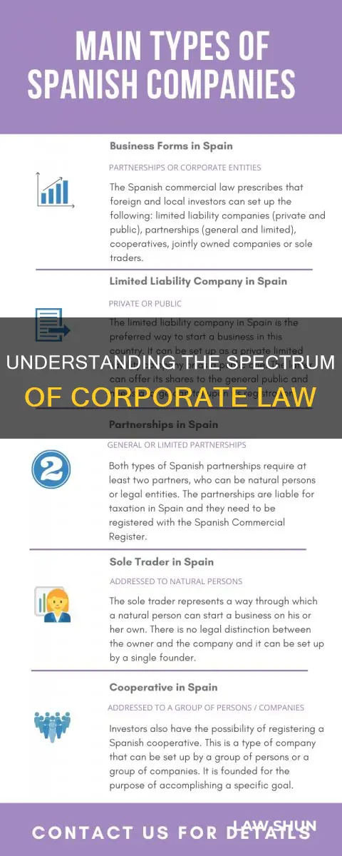 what are the different types of corporate law
