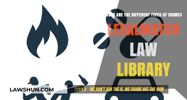 Crimes and LegalMatch: Understanding Different Offense Types