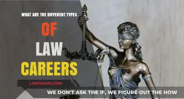 Exploring Diverse Legal Career Paths