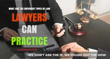 Lawyer Specialties: Understanding the Diverse Legal Practice Areas