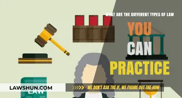 Exploring Diverse Legal Practice Areas