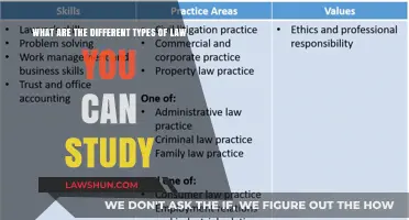 Exploring Law: Diverse Study Paths in the Legal World