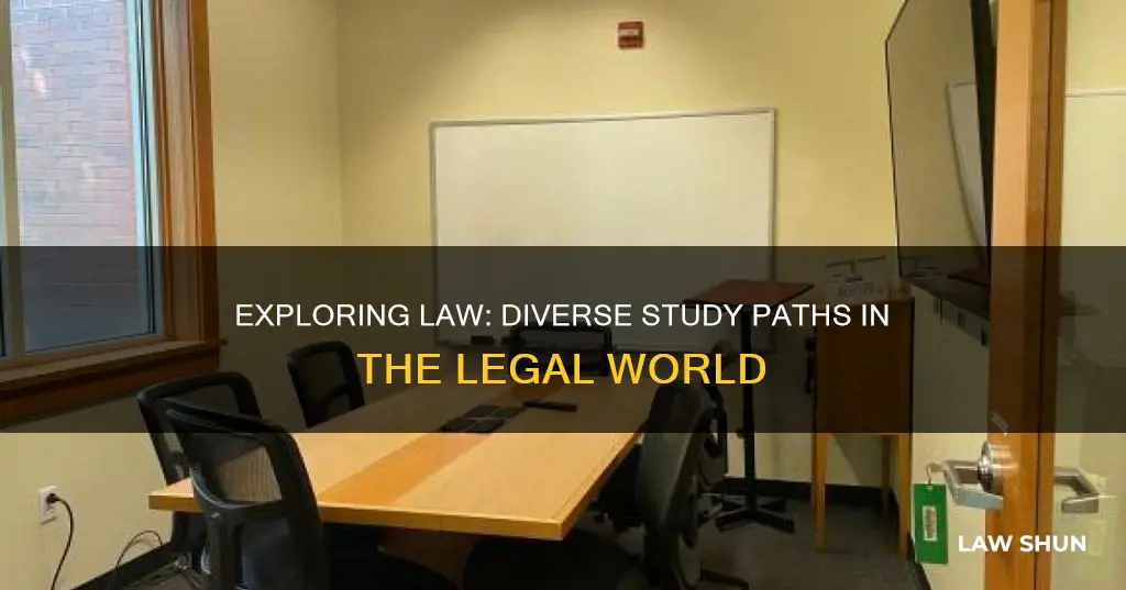 what are the different types of law you can study