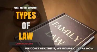 Understanding the Diverse Branches of Law
