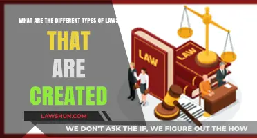 Laws Explained: Understanding Different Legal Types