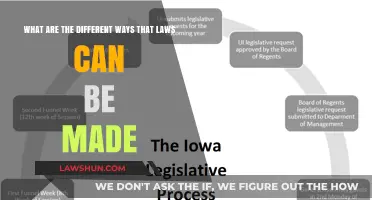 How Laws are Made: Exploring the Different Ways