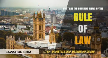 The Rule of Law: Diverse Interpretations, One Principle