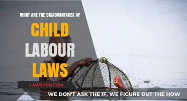 The Hidden Costs of Child Labour Laws: Unintended Consequences