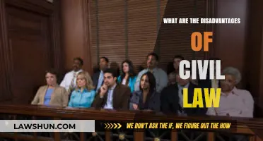 Civil Law Drawbacks: Exploring Limitations and Challenges in Legal Systems