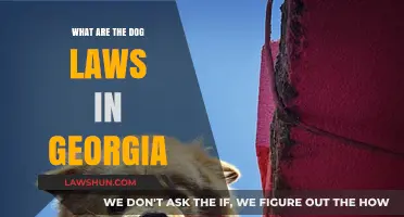 Understanding Georgia's Dog Laws: A Comprehensive Guide for Pet Owners