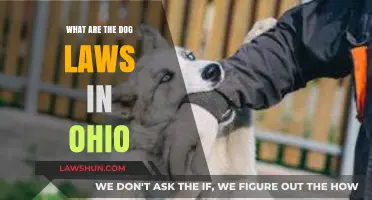 Ohio Dog Laws: Understanding Rights, Responsibilities, and Regulations for Owners