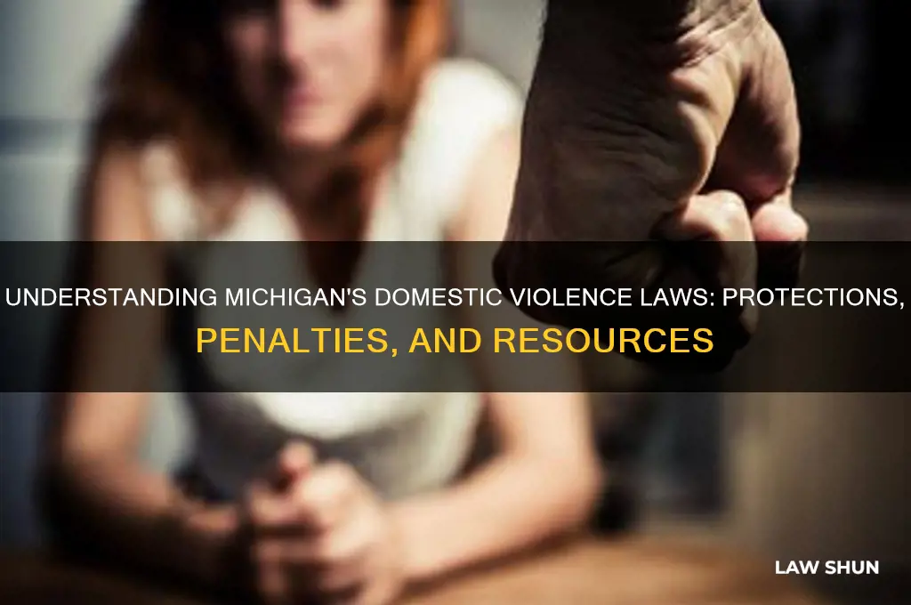 what are the domestic violence laws in michigan