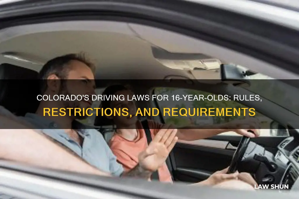 what are the driving laws for 16 year-olds in colorado