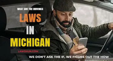 Understanding Michigan's Driving Laws: A Comprehensive Guide for Motorists