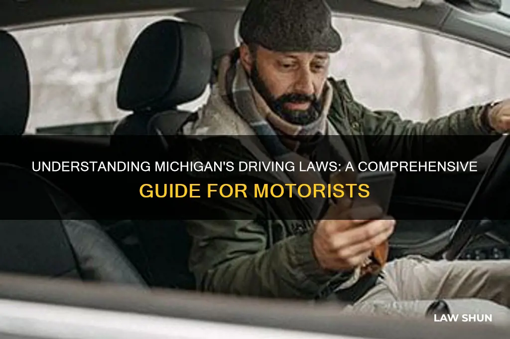 what are the drivings laws in michigan