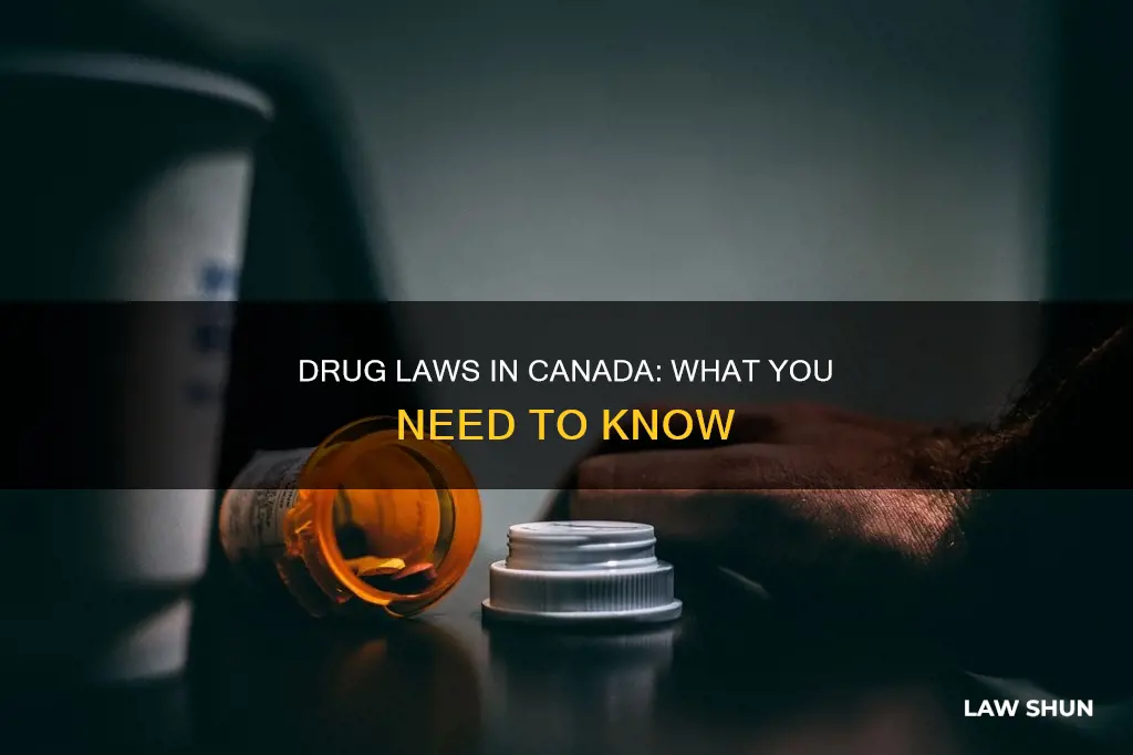 what are the drug laws in canada