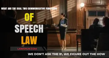 Speech Law's Dual Communicative Functions: Balancing Expression and Regulation