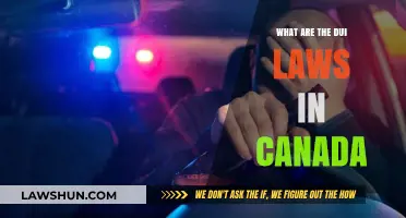 DUI Laws in Canada: What You Need to Know