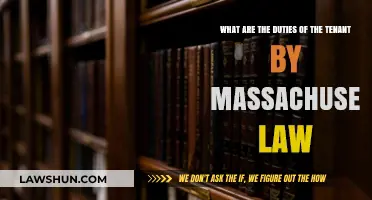 Massachusetts Tenant Responsibilities: Legal Duties and Obligations Explained