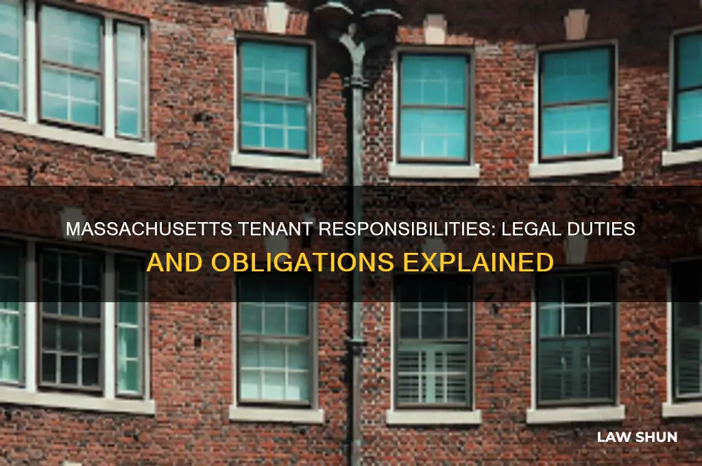 what are the duties of the tenant by massachusetts law