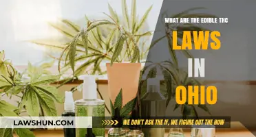 Ohio's Edible THC Laws: What You Need to Know