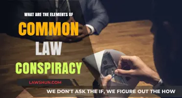 Understanding Conspiracy: Elements of Common Law Conspiracy