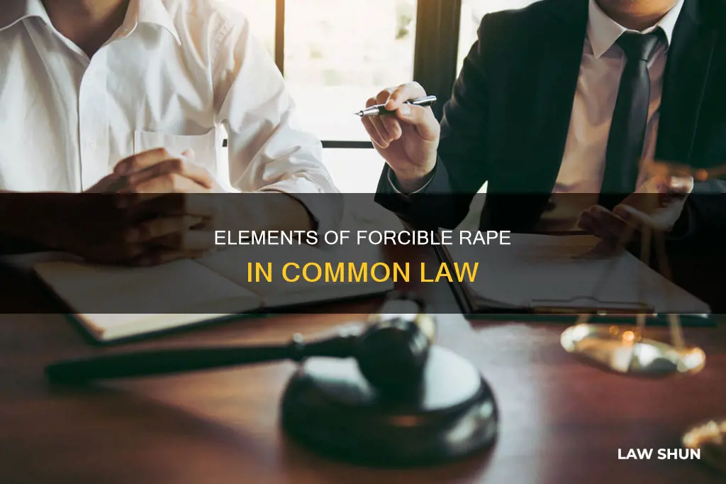 what are the elements of common law rape forcible rape