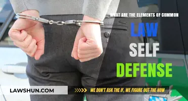 Elements of Self-Defense in Common Law