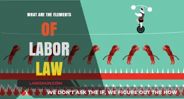 Understanding Labor Law: Key Elements Every Employer and Employee Should Know