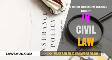 Understanding Vicarious Liability: Key Elements in Civil Law Explained