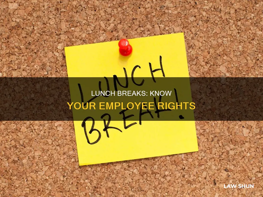 what are the employee lunch break labor laws