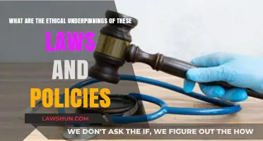 Ethical Foundations: Unraveling the Moral Core of Laws and Policies