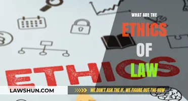 Exploring the Moral Compass of Law: A Deep Dive into Legal Ethics