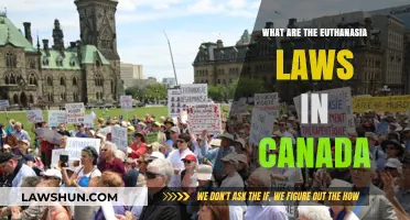 Canada's Euthanasia Laws: What You Need to Know