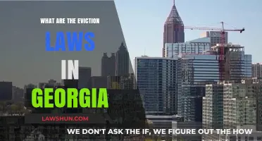 Understanding Georgia's Eviction Laws: A Comprehensive Guide for Tenants and Landlords