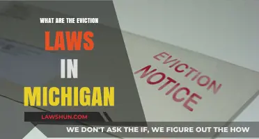 Understanding Michigan Eviction Laws: A Comprehensive Guide for Tenants and Landlords