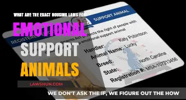 Emotional Support Animals: Understanding Housing Laws and Your Rights