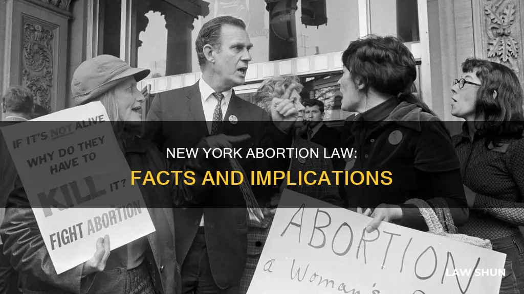 what are the facts for ny abortion law