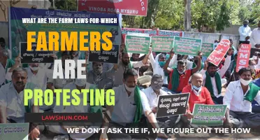 Farmers' Protest: Understanding the Controversial Agricultural Laws in India