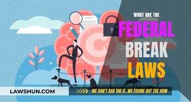 Understanding Federal Break Laws: Your Rights and Obligations