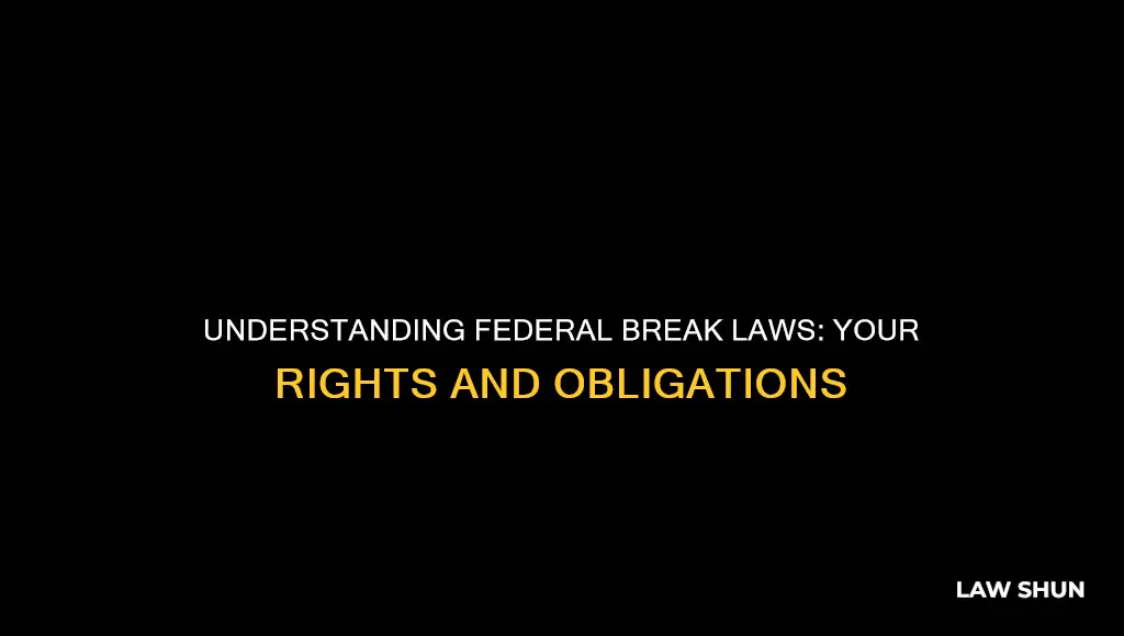 what are the federal break laws