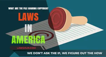 Understanding File Sharing Copyright Laws in the United States