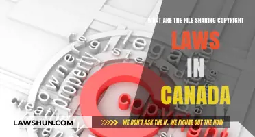 File Sharing in Canada: Understanding Copyright Laws
