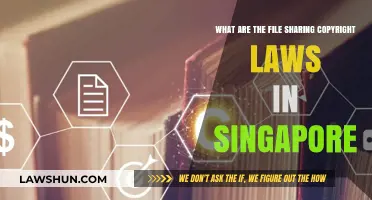 Understanding Singapore's File Sharing Copyright Laws: A Comprehensive Guide