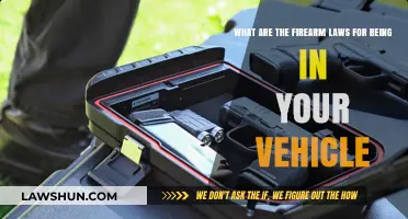 Understanding Firearm Laws: Carrying Guns in Your Vehicle Legally