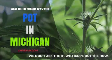Michigan's Firearm and Marijuana Laws: What You Need to Know